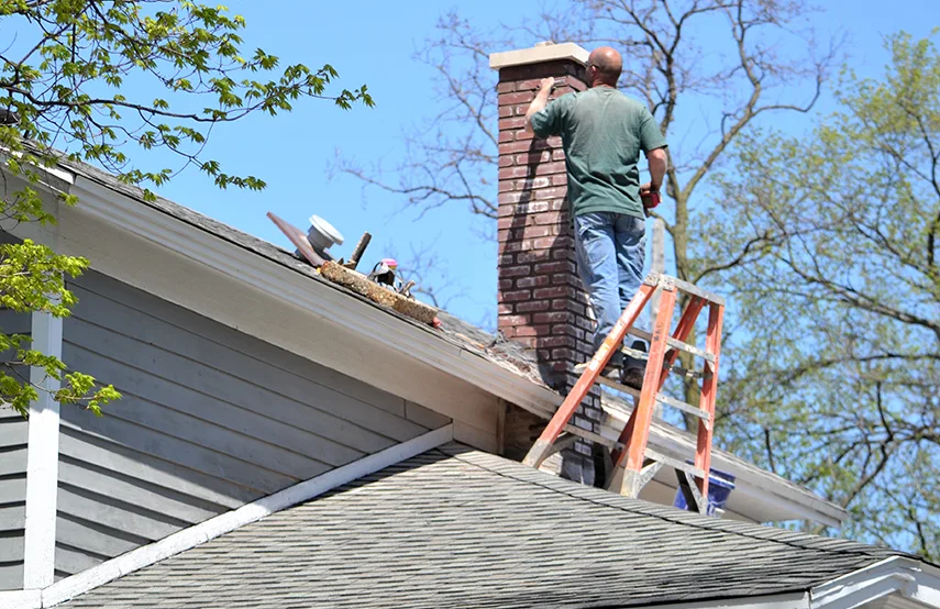 Chimney & Fireplace Inspections Services in Martha Lake, WA
